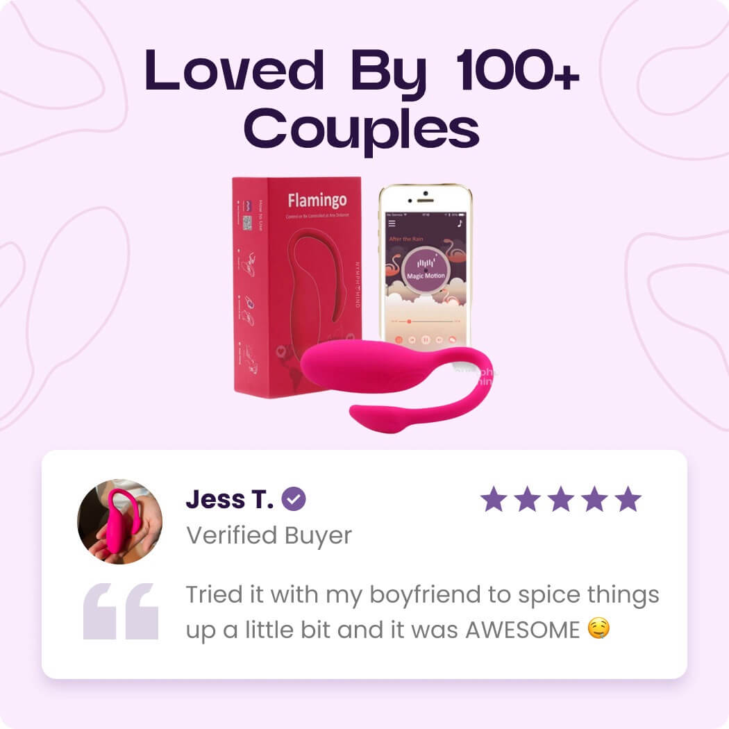 Flamingo Wireless Vibrator 2.0